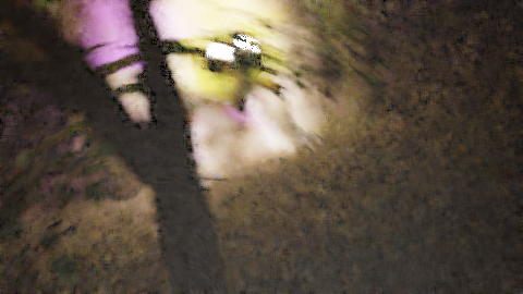 A forest, with some burning creature in it. The image is blurry, as if the photographer was moving quickly. The fire is yellow, then white, then purple, then black - the colours of the nonbinary flag. Fog covers the area.